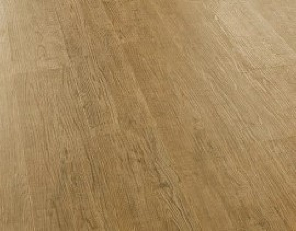 FF 1583 Сосна Парма