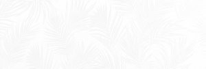 Коллекция Exotic